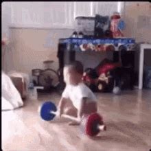 Weight Lifting Baby Gif