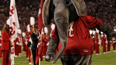 Why Is Alabama's Mascot an Elephant? | Mental Floss