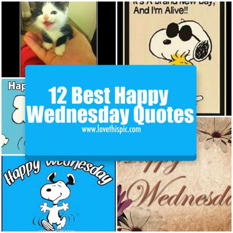 12 Best Happy Wednesday Quotes