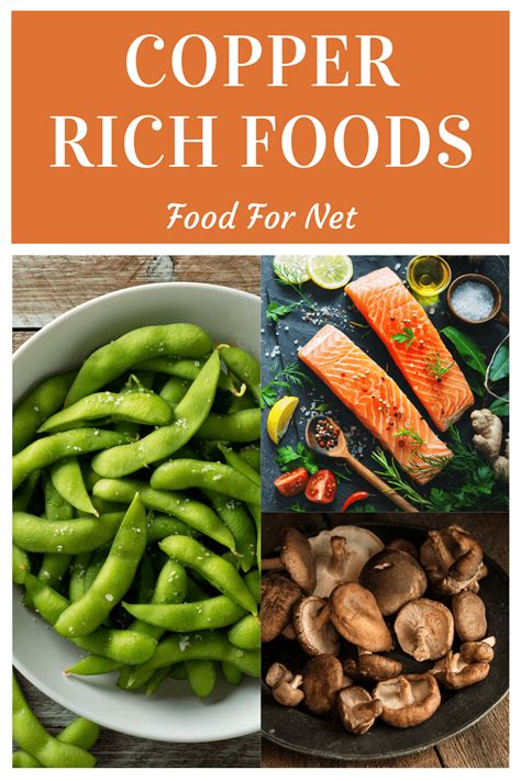 24 Copper Rich Foods So You’re Never Short Of This Trace Mineral | Food ...