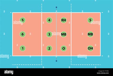 vector image of a volleyball court with positions of players Stock ...