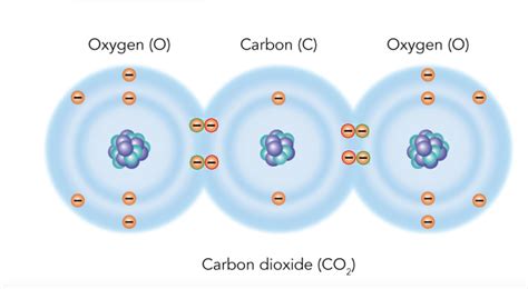 Insturctions: Carbon Atoms Have Four Valence Oxygen Atoms, 40% OFF