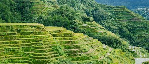 Batad Rice Terraces - Goparoo