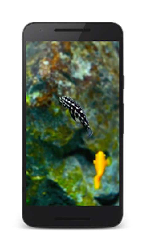 Android 용 Aquarium 3D Live Wallpapers - 다운로드