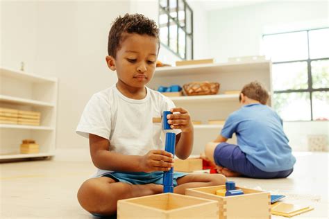 Potential of Cosmic Education in Montessori Schools