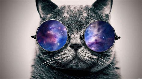 Hipster Galaxy Cat Wallpapers - Top Những Hình Ảnh Đẹp