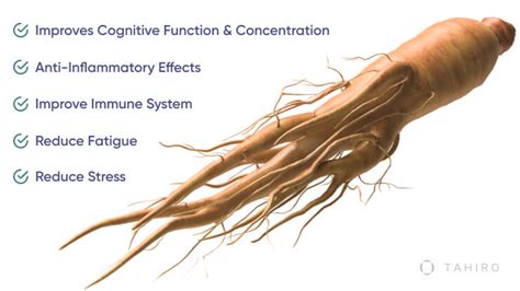 5 Phenomenal Health Benefits of Ginseng Root