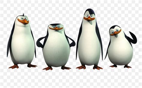 Rico Kowalski Skipper Penguin Madagascar, PNG, 1600x1000px, Rico, Beak ...