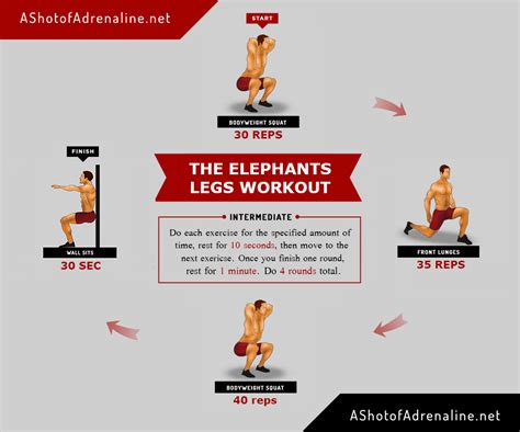 The Elephant Legs Calisthenics Workout