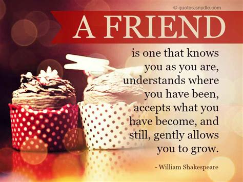 Birthday Quotes for Friend – Quotes and Sayings