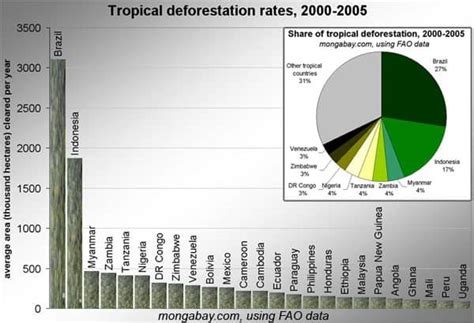 16 Deforestation Facts - Causes, Effects, Solutions | Facts.net