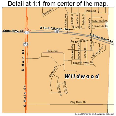 Wildwood Florida Street Map 1277675