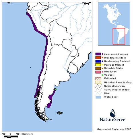 Americas Range Map - Red-legged Cormorant | BirdPhotos.com