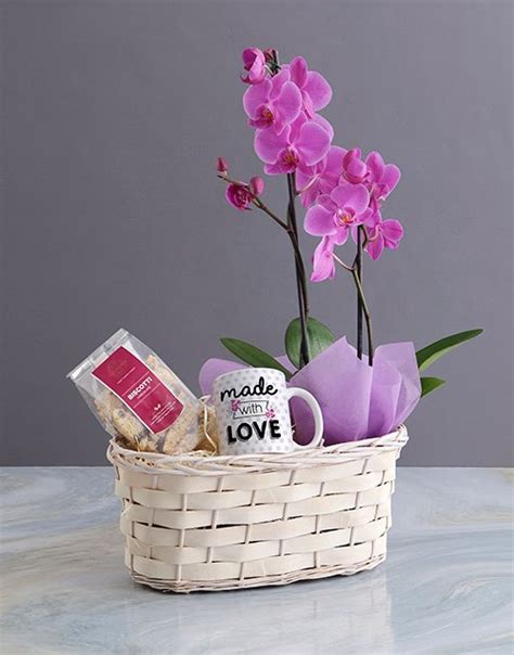 Phalaenopsis Orchid Gift Basket - The Cape Town Florist