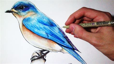 Bird Drawing at GetDrawings | Free download