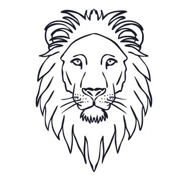 Lion Head Outline Images – Browse 21,720 Stock Photos, Vectors, and ...