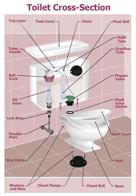 Glacier Bay Dual Flush Toilet Parts Diagram Toilet Valve Kit