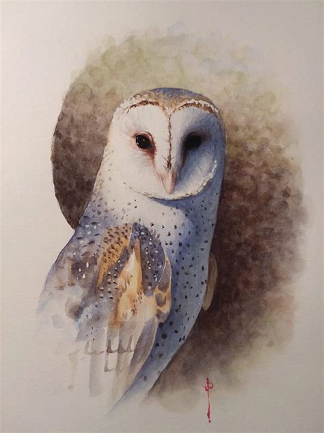 watercolor barn owl : r/painting