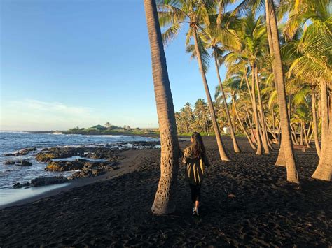 Black Sand Beach On Big Island (Punaluu): See Turtles! | Volcano Inn