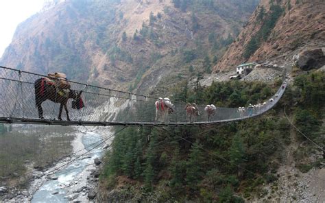 Five scary bridges in Asia not for the faint-hearted - Daily Luxury