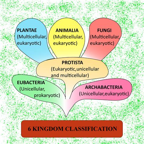 Ppt Scientific Classification The Six Kingdoms Protista | Hot Sex Picture