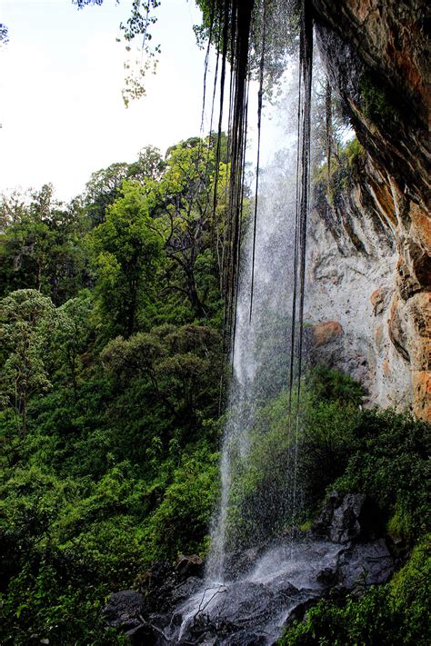 Mount Elgon National Park