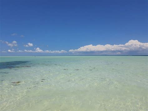 Don’t overlook these hidden treasures surrounding Holbox Island