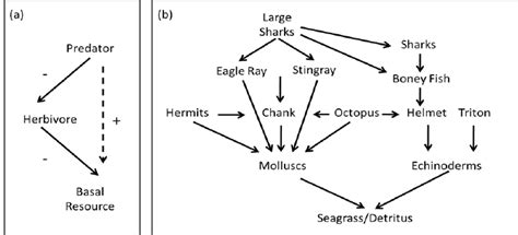 Trophic dynamics: (a) Basic trophic cascade, the predator and herbivore ...