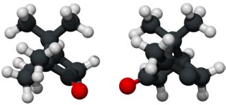 Camphor - Wikiwand