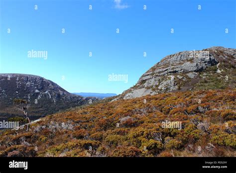 Cradle Mountain Hiking Stock Photo - Alamy