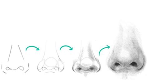 How To Draw A Realistic Nose in 4 Simple Steps - Udemy Blog