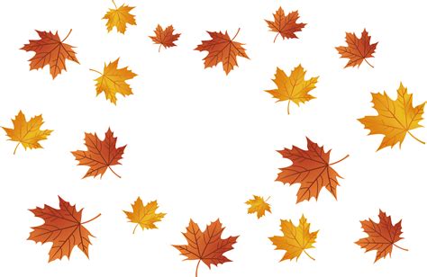 Maple leaf - Maple leaves falling png download - 4454*2897 - Free ...