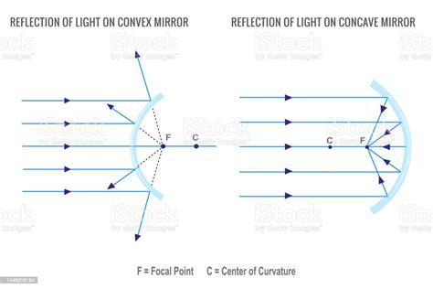 Pantulan Cahaya Pada Cermin Cekung Dan Cermin Cembung Ilustrasi Stok ...