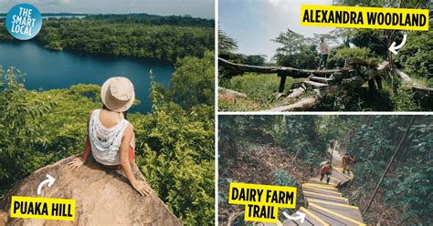 13 Adventurous Hiking Trails In Singapore [Updated 2023 Guide]