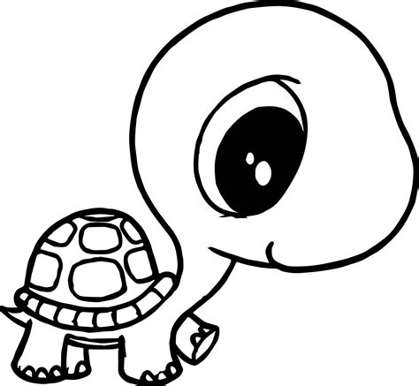 Baby Sea Turtle Drawing | Free download on ClipArtMag