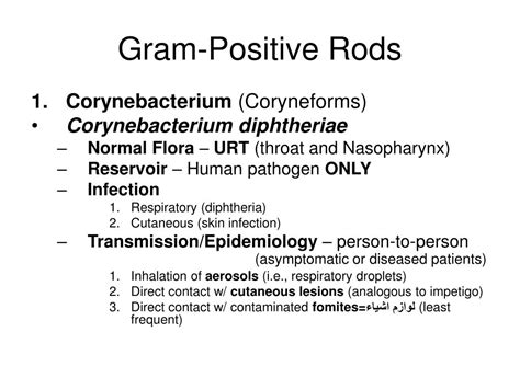 PPT - Chapter 10: Gram-Positive Rods PowerPoint Presentation, free ...