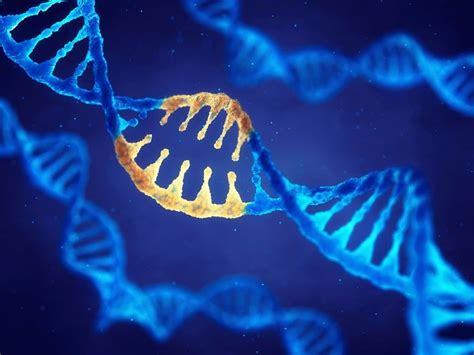 What is a gene drive? | Live Science