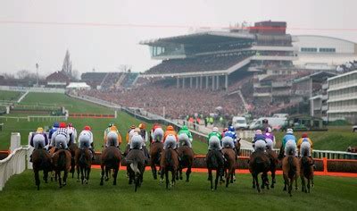 Cheltenham Racecourse | Racecourses