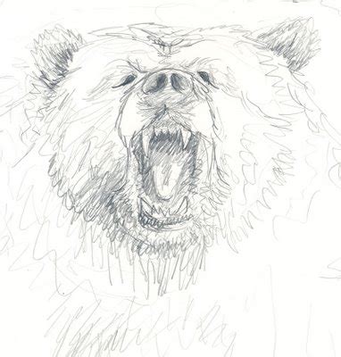 Angry Bear Drawing | Funny Collection World