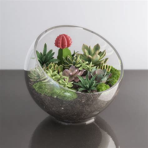 Succulents in glass bowl - Download the 3D Model (14987) | zeelproject.com