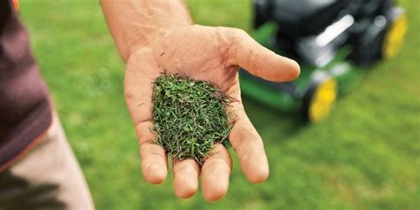 When to mulch or bag lawn clippings | Hutson Inc