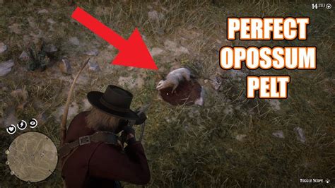 Rdr2 perfect opossum location