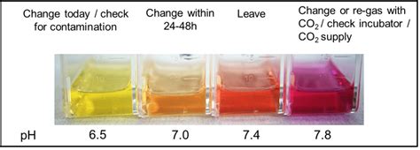 Phenol Red Color Chart