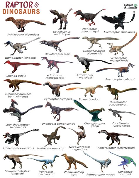 Raptor Dinosaurs – Facts, List, Pictures