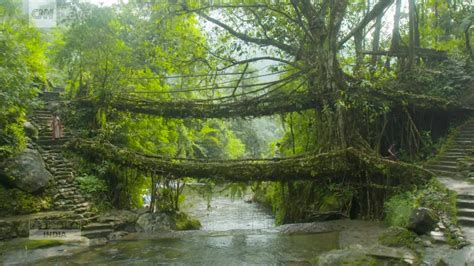 The living root bridges of Meghalaya - CNN Video