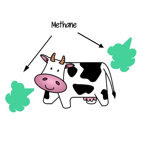 Cows’ farts and burps contribute to global warming - EasyEcoTips