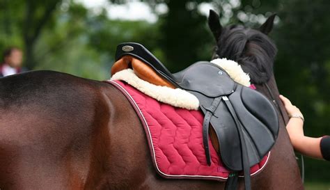 Horse Tack Supplies & Saddle Accessories - Next Day Delivery | Farm ...