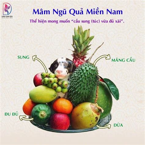 Ý Nghĩa Mâm Ngũ Quả 3 Miền Và Tác Dụng Làm Đẹp Của Các Loại Quả