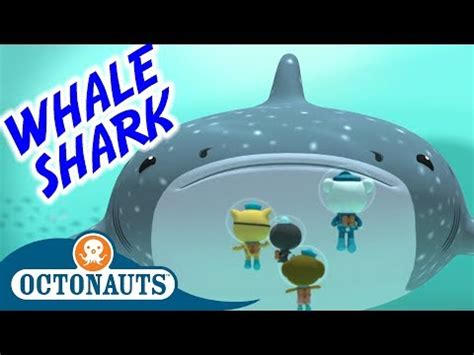 Octonauts Whale Shark Toy | Wow Blog