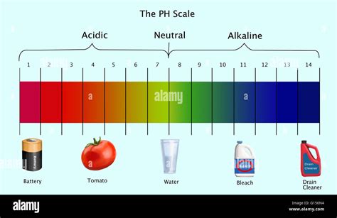 PH Scale Examples